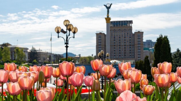 tulips Економічні новини - головні новини України та світу