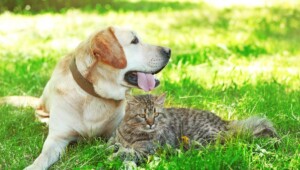 1624962456 8643 Економічні новини