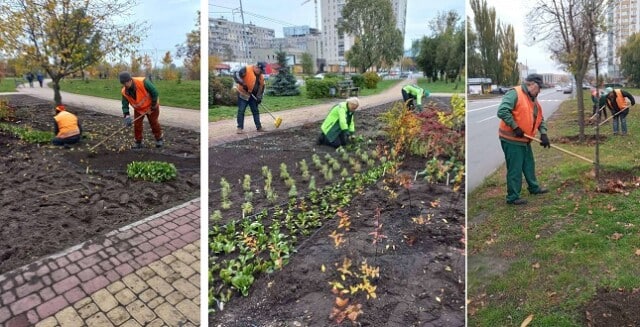 24412 Економічні новини - головні новини України та світу