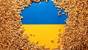 grain ukraine Економічні новини - головні новини України та світу