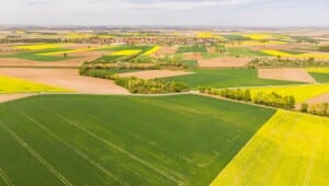 colorful agricultural fields at spring aerial dron pht2z5m min 2 scaled 1 Економічні новини - головні новини України та світу