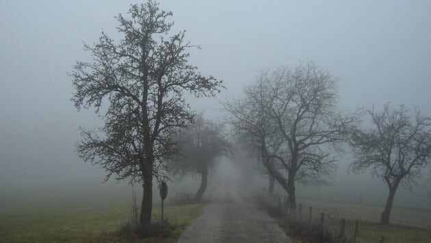 nebel in der region rhon 01386 Економічні новини