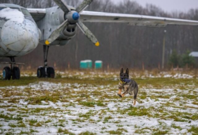 cf4e078 grb 9037 1 Економічні новини - головні новини України та світу