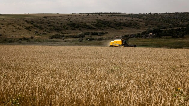 29dc ukraine foodcrisis 1 2e69 s Економічні новини - головні новини України та світу