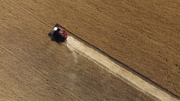 220712122853 04 russia grain blo Економічні новини - головні новини України та світу