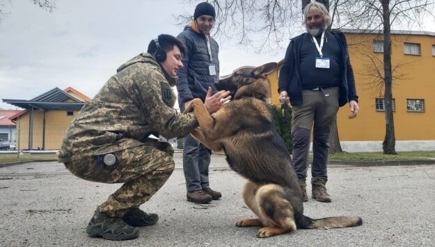 сапер