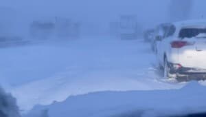 screenshot 2023 03 30 202447 Економічні новини - головні новини України та світу