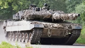 leopard-2