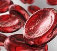 gemoglobin Економічні новини - головні новини України та світу