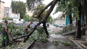 121212 Економічні новини - головні новини України та світу