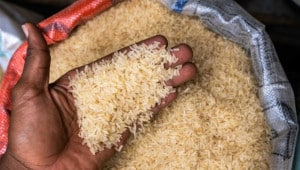 ris Економічні новини