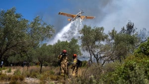 rodos 1 Економічні новини - головні новини України та світу