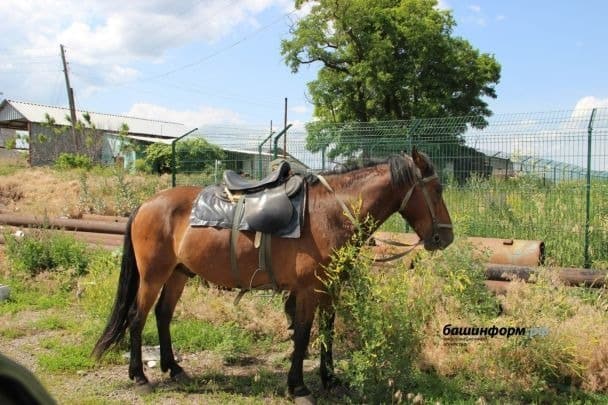 00125287cce8d29e8e7644eb333863e3 Економічні новини - головні новини України та світу