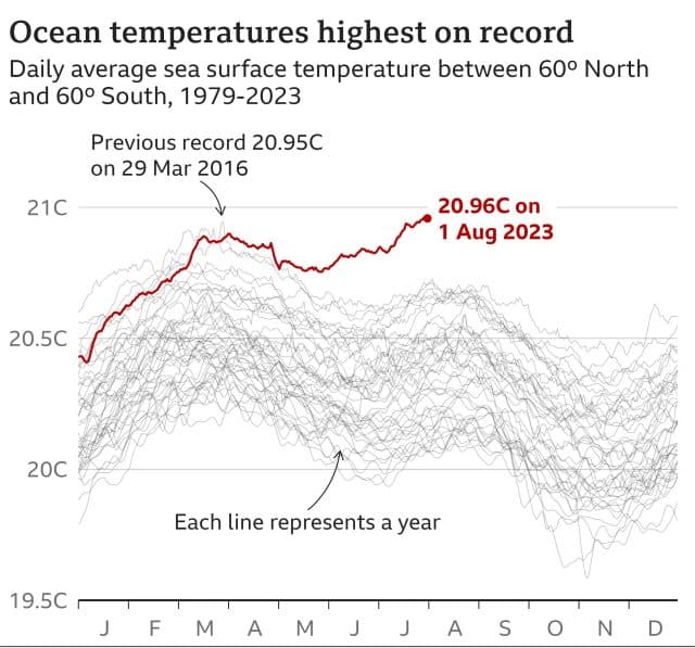 130630616 era 5 global sea temp Економічні новини - головні новини України та світу