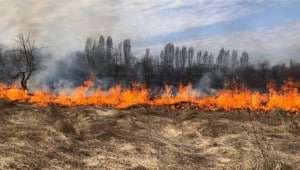 2872239 Економічні новини - головні новини України та світу