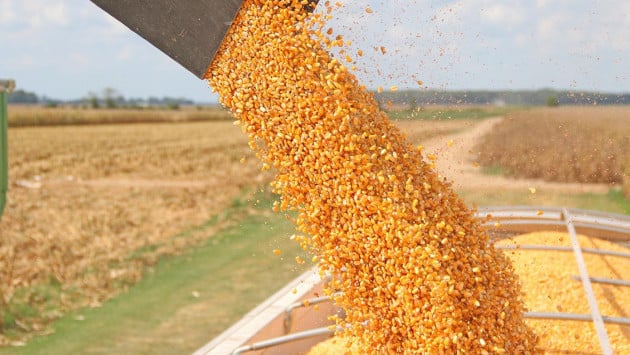 cornharvestdfp01 Економічні новини