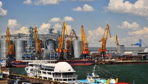 cranes loading grain odesa Економічні новини - головні новини України та світу