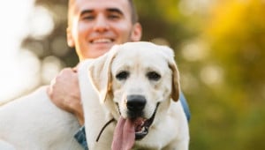 guy holding his friend dog labra Економічні новини - головні новини України та світу