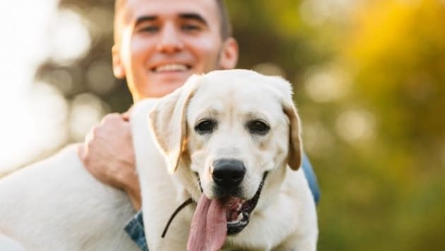 guy holding his friend dog labra Економічні новини - головні новини України та світу