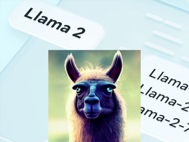 Liama