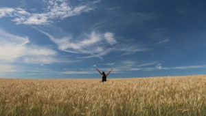 0bd0e7ffd9e602058e8ef991bd713a03 Економічні новини - головні новини України та світу