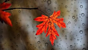 1f575bd0 fc25c7f942e6839eb79d28c Економічні новини - головні новини України та світу