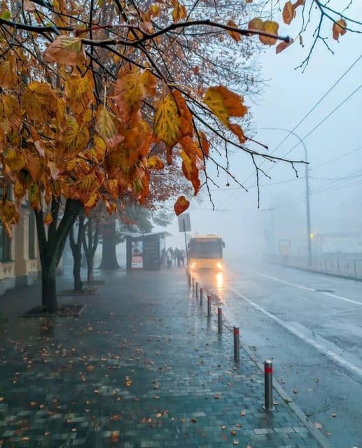 2416165 16566138 Економічні новини - головні новини України та світу