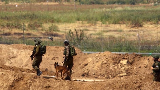 873040 soldiers dog ilan asayag Економічні новини - головні новини України та світу