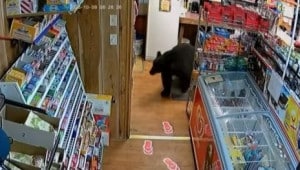 ahr0chm6ly9pbwcudhnulnvhl2nhy2hl 1 Економічні новини - головні новини України та світу