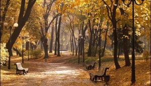 i129219 Економічні новини - головні новини України та світу