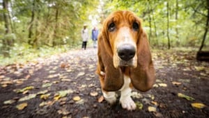 park doshch tuman gettyimages 1 Економічні новини - головні новини України та світу