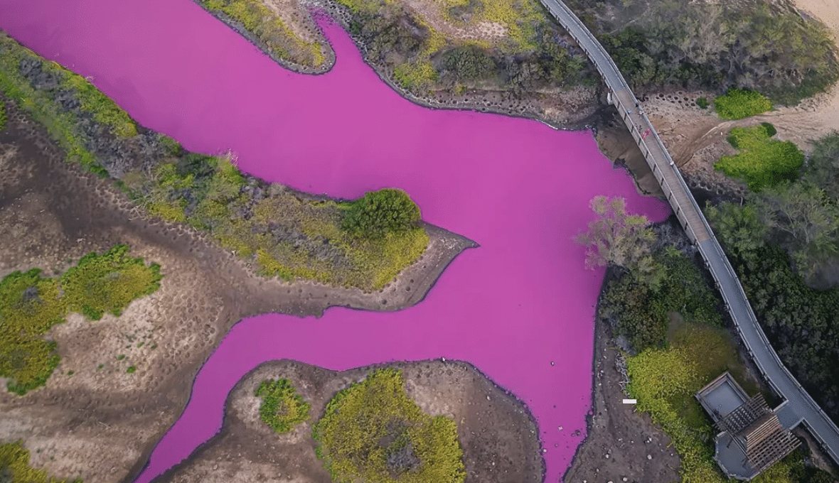 snimok ekrana 2023 11 11 v 12.27.18 Економічні новини - головні новини України та світу