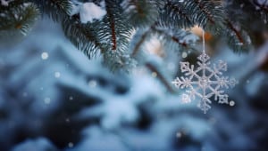 ahr0chm6ly9zdgf0awmuyxbvc3ryb3bo 3 4 Економічні новини - головні новини України та світу