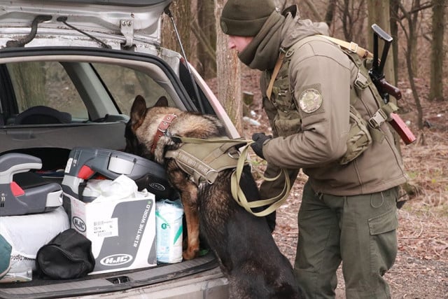 побратим