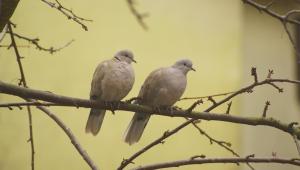 1690288269 2069 Економічні новини - головні новини України та світу