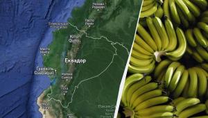 1708380543 5164 Економічні новини - головні новини України та світу