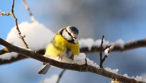 ahr0chm6ly9zdgf0awmuyxbvc3ryb3bo 3 4 Економічні новини - головні новини України та світу