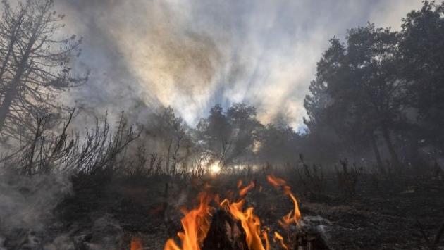 gettyimages 1227878412 64cf18701 Економічні новини - головні новини України та світу