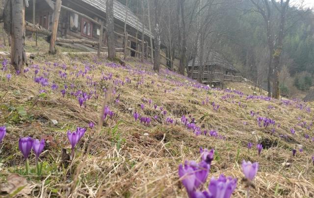 1347 5 Економічні новини - головні новини України та світу