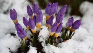 1617270832 4157 Економічні новини - головні новини України та світу