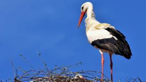 1677850385 2281 Економічні новини - головні новини України та світу