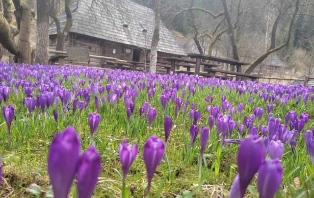 3416 2 Економічні новини - головні новини України та світу