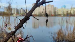 92 main v1711848056 1920x1080 Економічні новини - головні новини України та світу