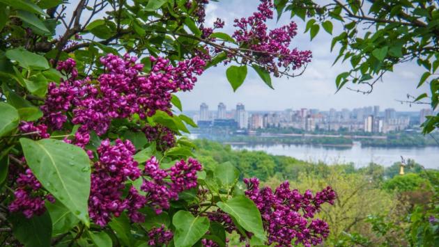 snimok ekrana 2024 04 23 v 22.04.24 Економічні новини - головні новини України та світу