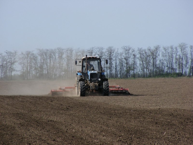 traktor fermer kostjuk mikolayivska oblast Економічні новини - головні новини України та світу