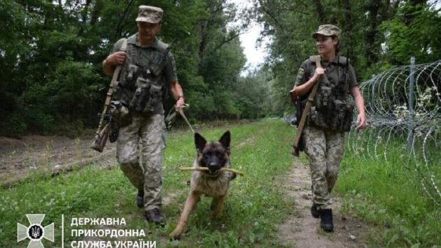 pohranichnik u hranitsy 9 main Економічні новини - головні новини України та світу