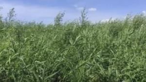 snimok ekrana 2024 07 22 v 09.29.12 Економічні новини - головні новини України та світу