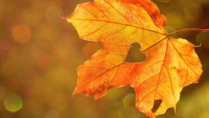 7e530c0f 58fec1a4b04bfd2d066f042 Економічні новини - головні новини України та світу