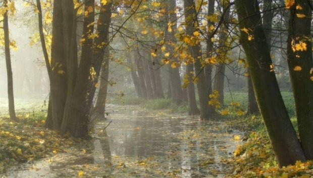 Економічні новини - головні новини України та світу