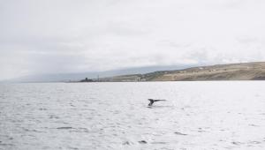 1720805674 5836 Економічні новини - головні новини України та світу